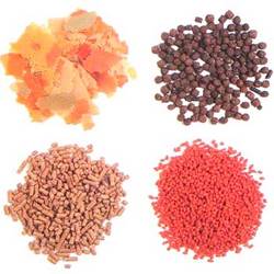 Manufacturers Exporters and Wholesale Suppliers of Fish Food Faridabad Haryana
